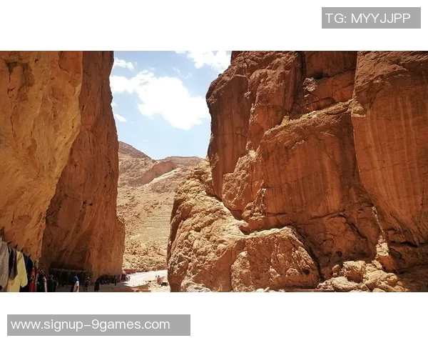 马里迪莫与托德拉的激烈对决谁能在这场比赛中脱颖而出